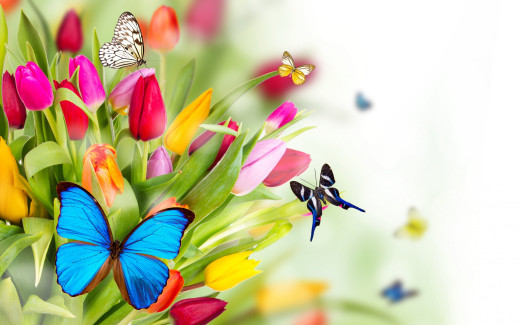 933127 (a): :2560x1600